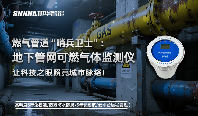 燃气管网卫士