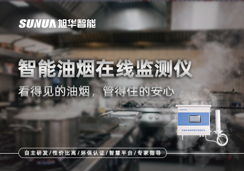 智能油烟在线监测仪：看得见的油烟，管得住的安心